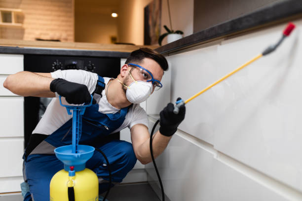Trusted Franklin Park, IL Pest Control Experts
