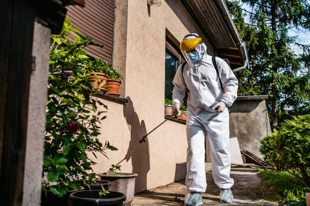 Best Residential Pest Control  in Franklin Park, IL